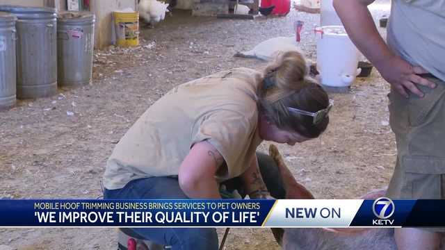 Mobile hoof-trimming business helping animals keep their stride - Vimarsana News