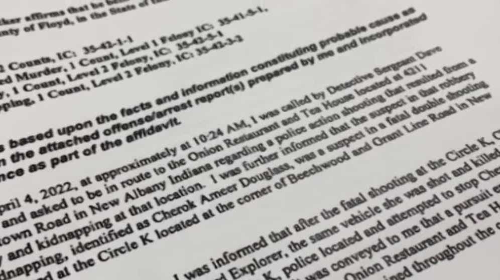 Court documents shed new light on deadly chain of events that started ...