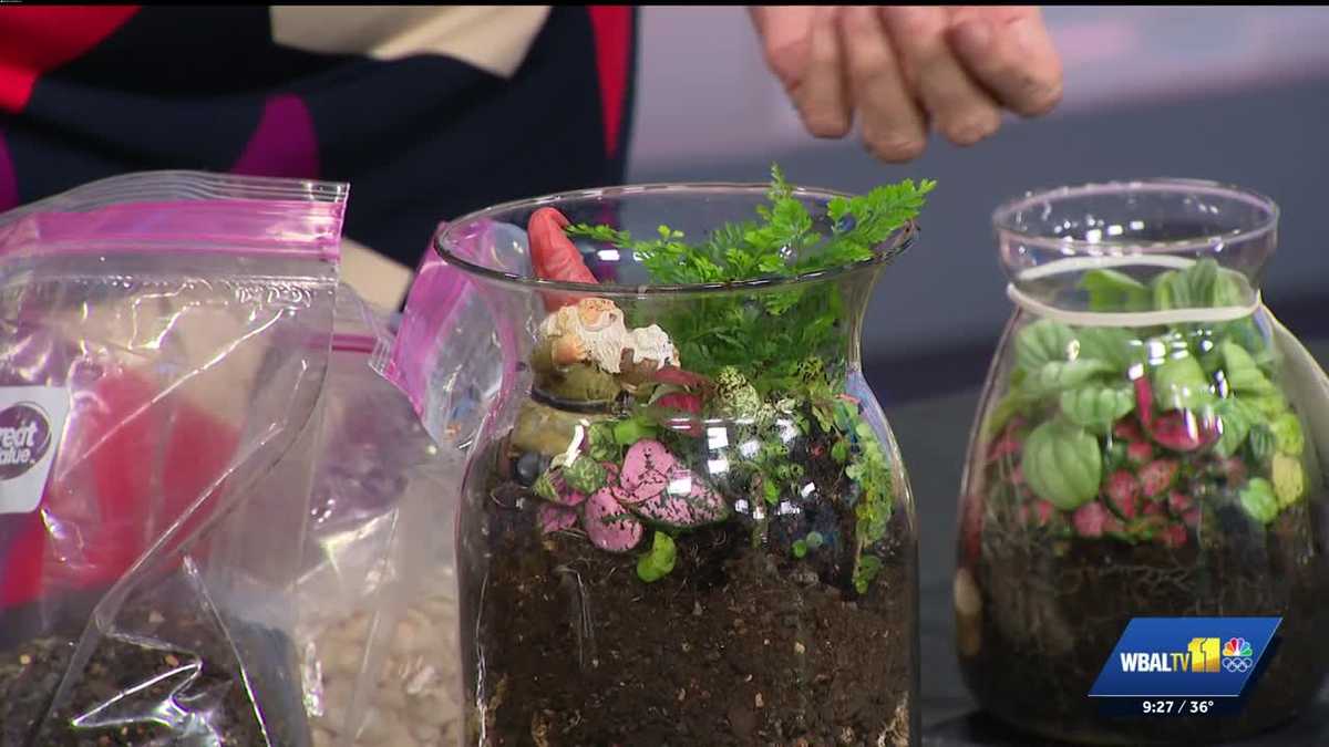 Sunday Gardener: Advice for building terrariums from Valley View Farms