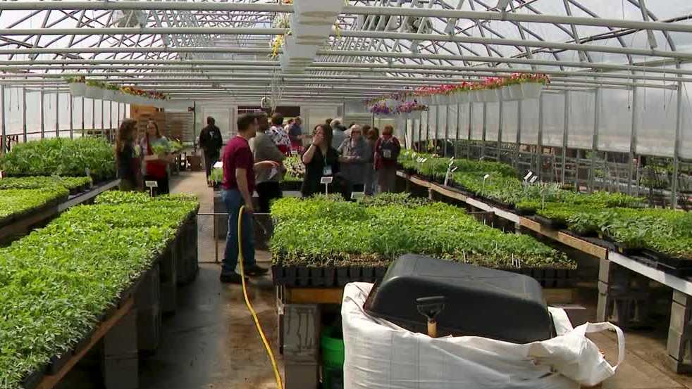 Des Moines nonprofit launches greenhouse to aid immigrant and refugee farmers