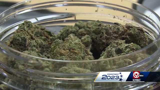 Adding up the votes, tax for marijuana in the metro - Vimarsana News