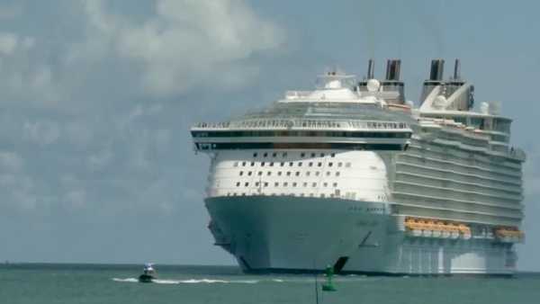 cruise