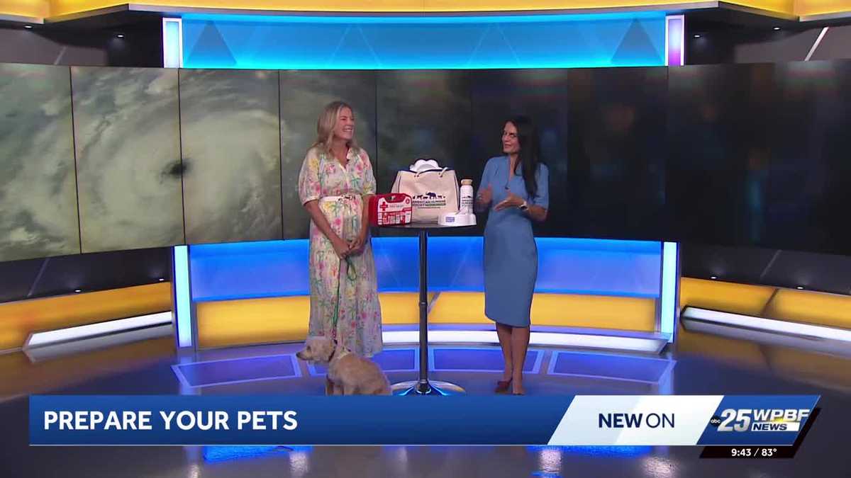 National Pet Preparedness Month