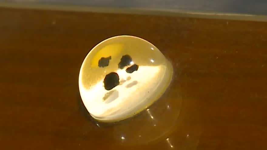 Iowa museum to display moon rocks from historic Apollo 11 mission