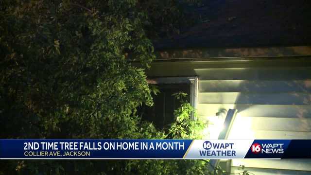 Storm blows tree on family home for second time in a month - Vimarsana News