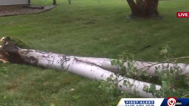Kansas City, Missouri, appointments for storm debris pickup - Vimarsana News