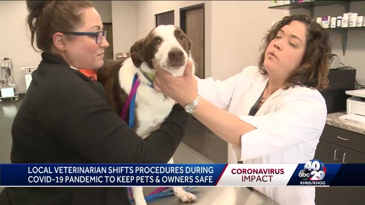 Cave Springs Veterinary Services works to keep pets & owners safe