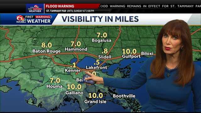 We've got fog! - Vimarsana News