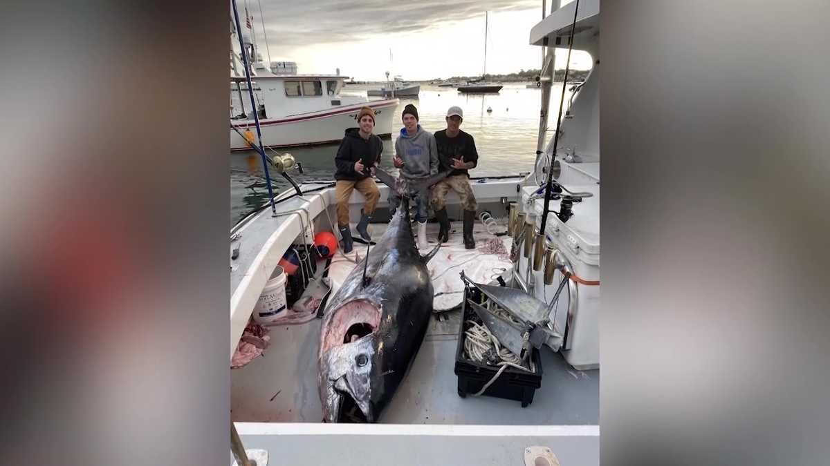 Three Mass. teenagers have a massive fish tale for life
