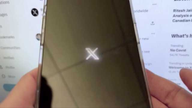 X, formerly known as Twitter, may collect your biometric data and job history - Vimarsana News