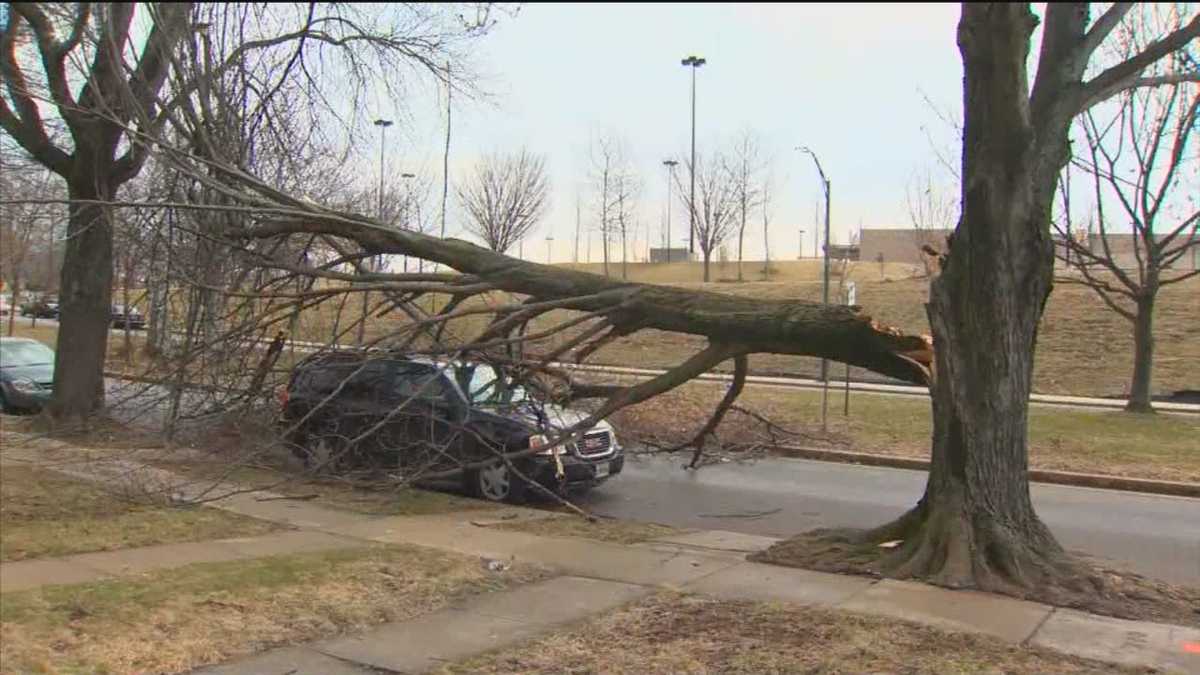 strong-winds-cause-damage-throughout-region