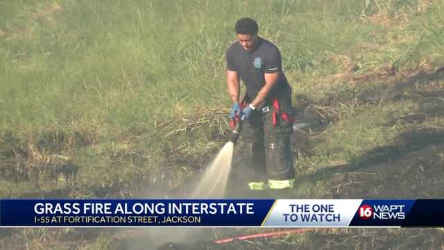 Grass fire sparks along I-55 amid dry conditions - Vimarsana News