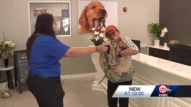 Luxury dog hotel opens in south Overland Park - Vimarsana News