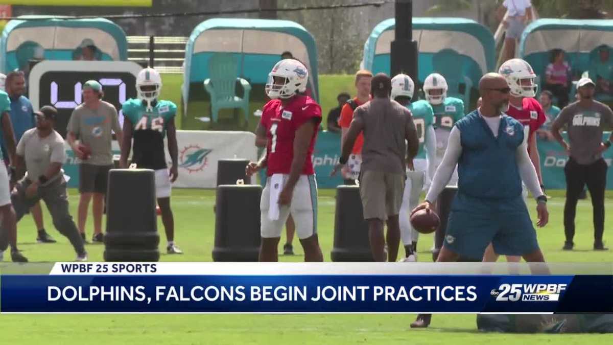 NFL preseason Dolphins host practices with Falcons NFL preseason Dolphins host practices with Falcons