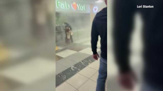 Georgia: Woman charged for spraying fire extinguisher at airport - Vimarsana News