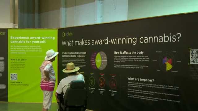 Cannabis exhibit at CA State Fair big hit with fairgoers - Vimarsana News