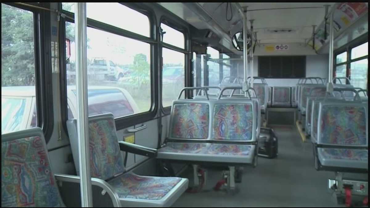 Bed bugs detected on three Rabbit Transit buses