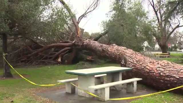 Cleanup in Stockton continues days of stormy weather - Vimarsana News