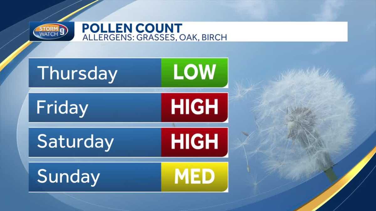 NH allergy forecast: Tree pollen declining as grass pollen rises