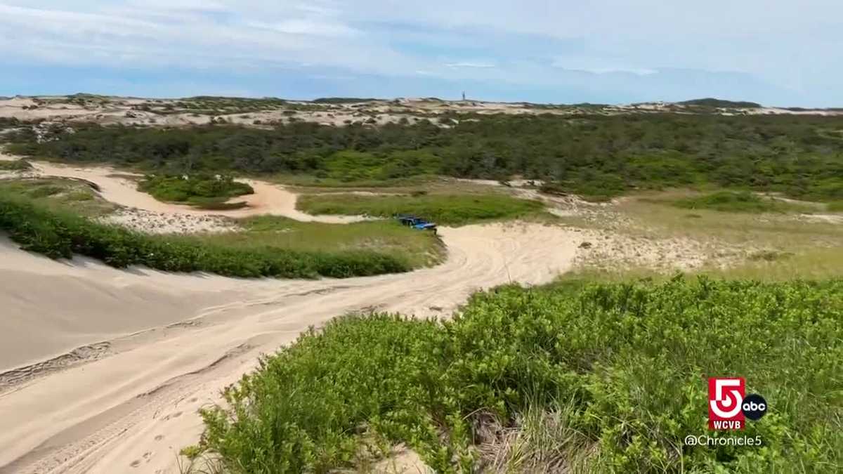 Art’s dune tours: 80 years on Cape Cod’s dunes - WCVB