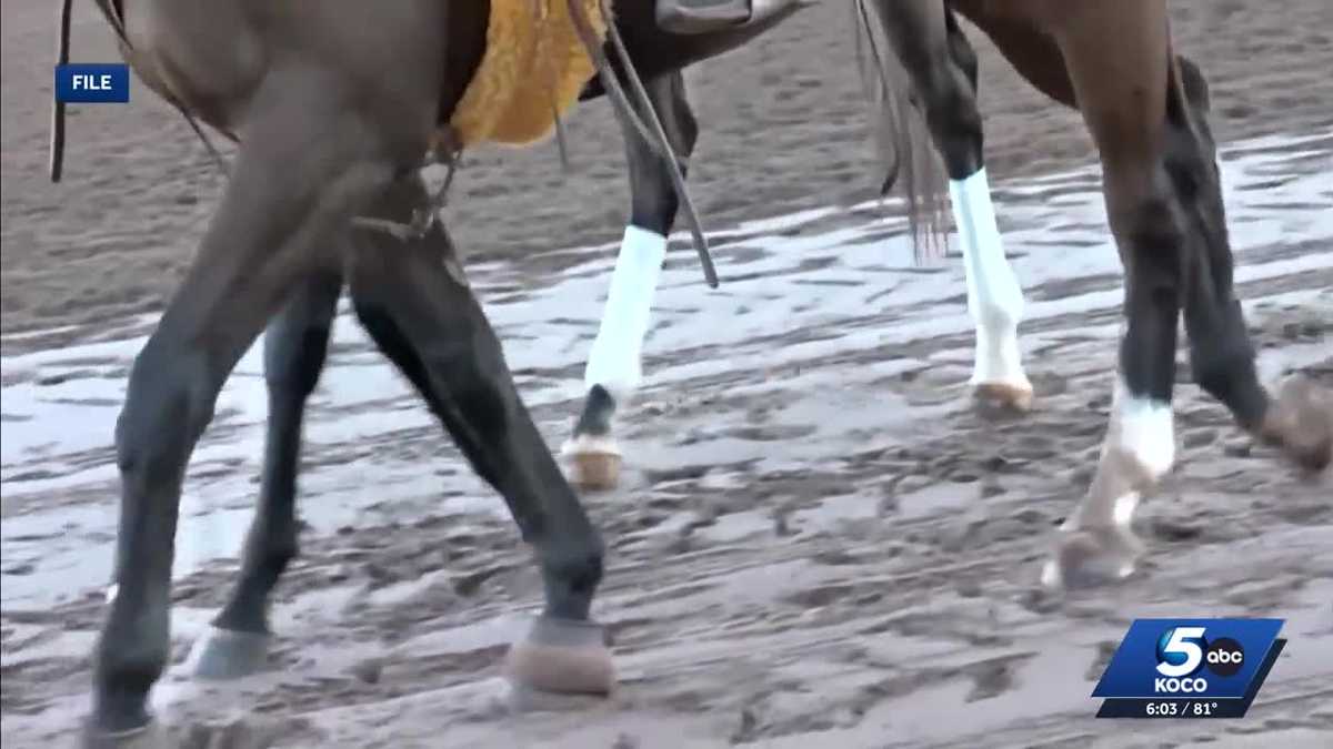 Alleged abuse forces OK Horse Racing Commission to step in