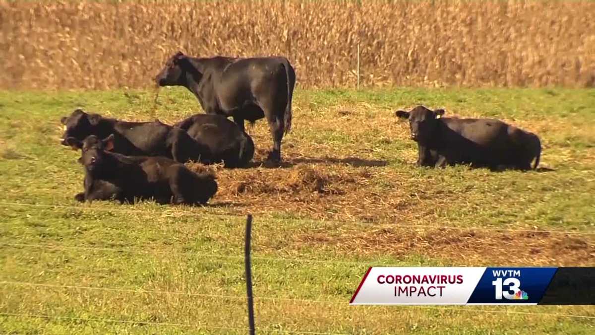 Alabama Farmers Feeling Economic Strain During COVID 19 Outbreak