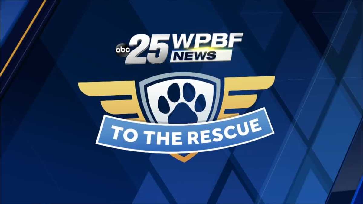 WPBF to the Rescue: Meet Manny
