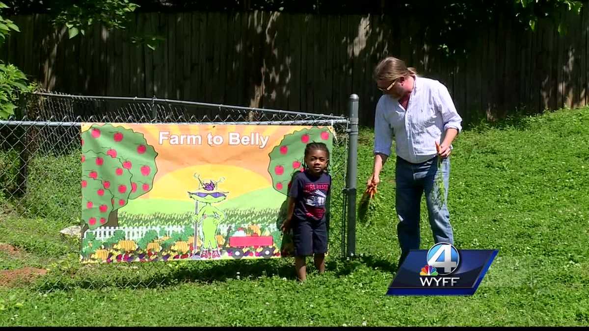 Feed and Seed hopes to make it easier for everyone to access healthy food