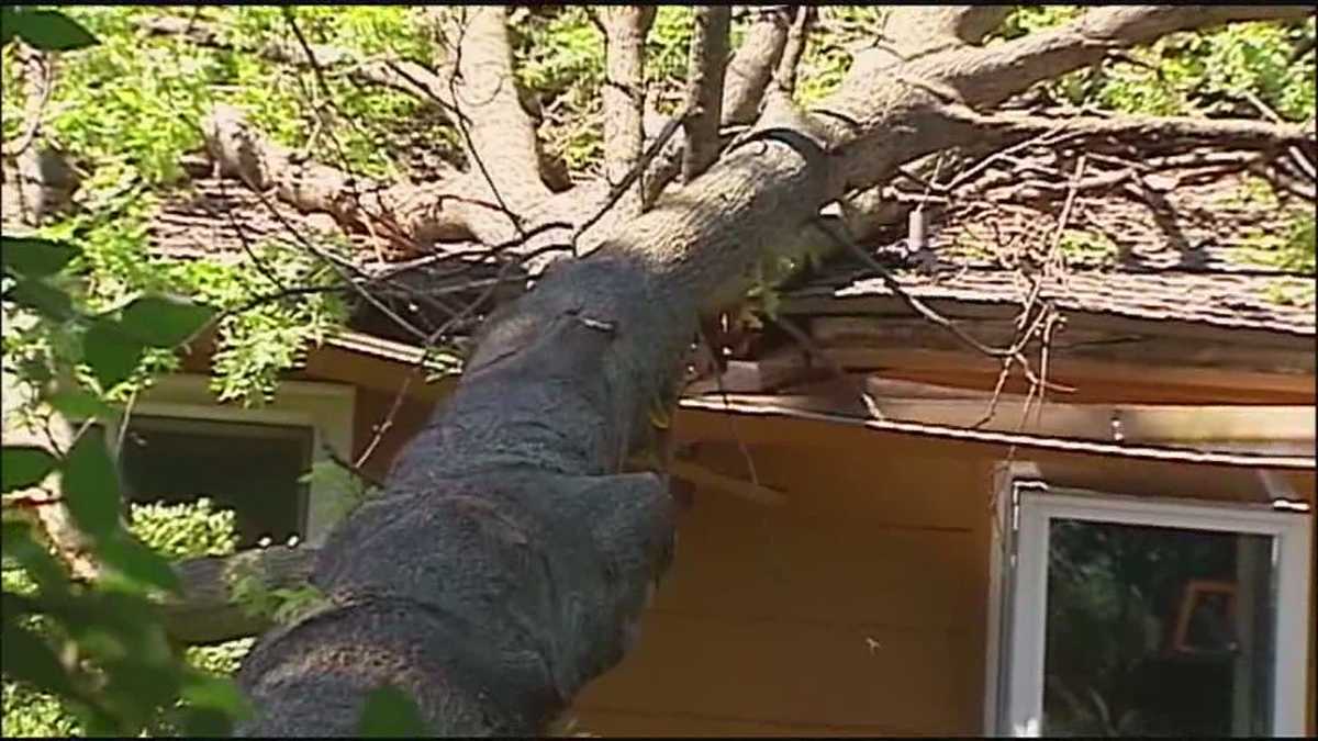 Huge Tree Topples Onto Leawood Home