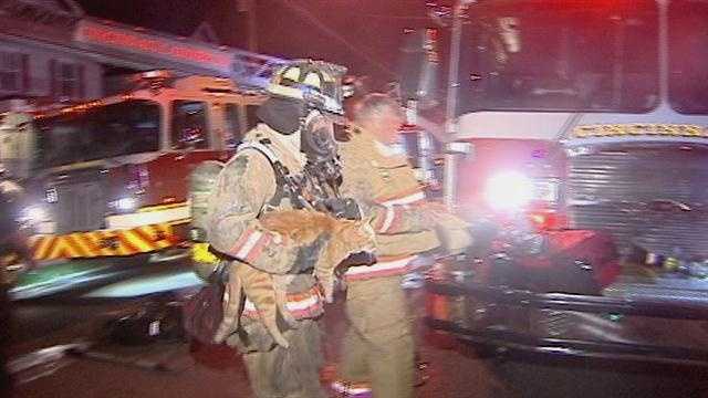 CINCINNATI FIREFIGHTERS RESCUE LADY AND PETS FROM HOUSE FIRE