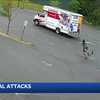 New Hampshire man describes animal attack caught in viral video