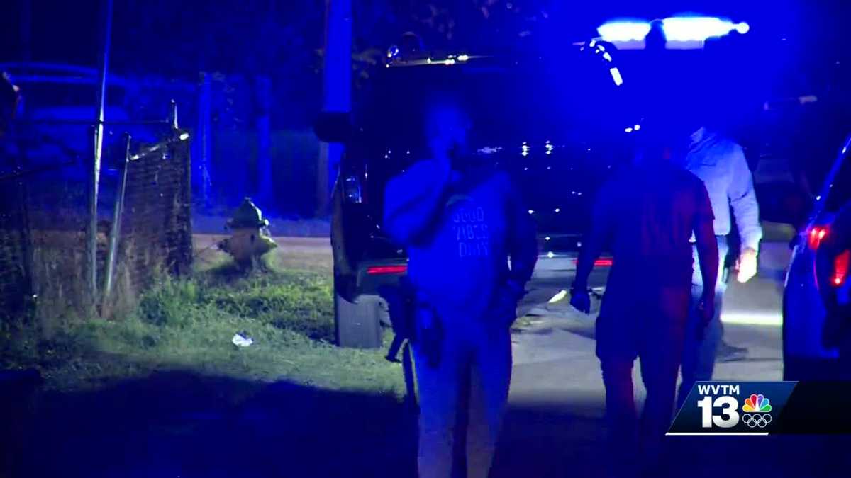 Teen faces capital murder charge in death of 82-year-old hit by stray