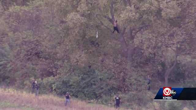 Police pursuit ends in KC Northland; driver found in tree - Vimarsana News