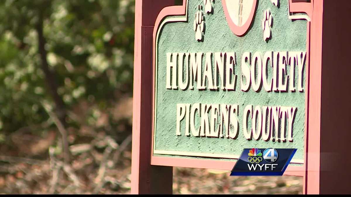 Pickens County Humane Society gets ready to close its doors