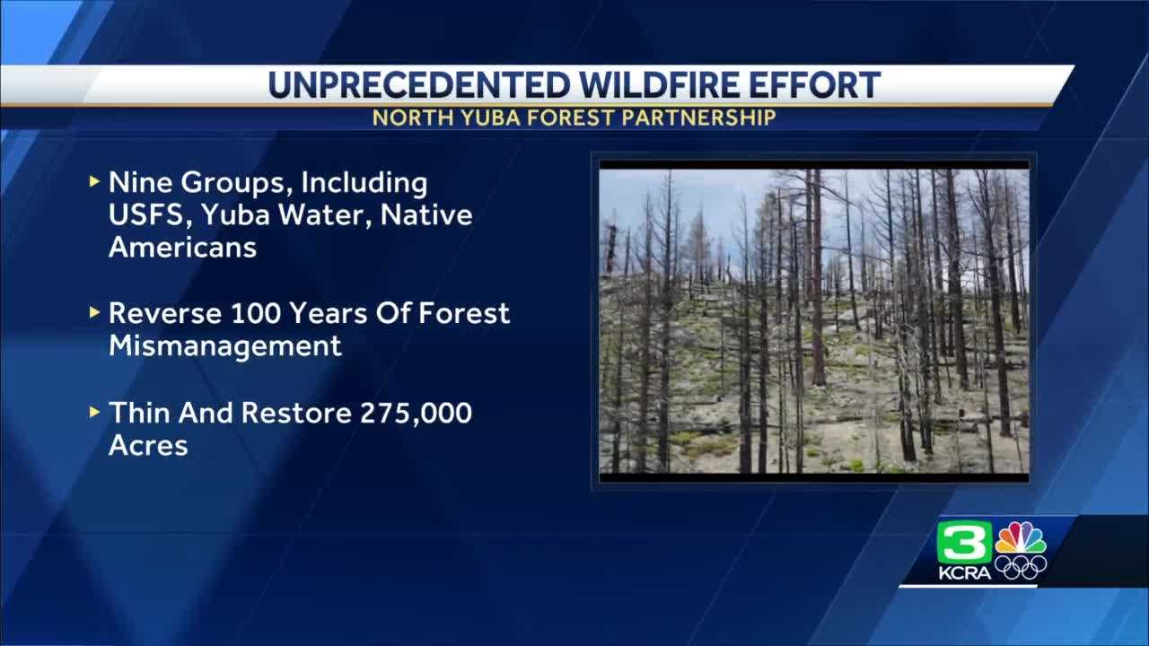 Unprecedented Effort To Combat Risk Of Catastrophic Wildfire Announced