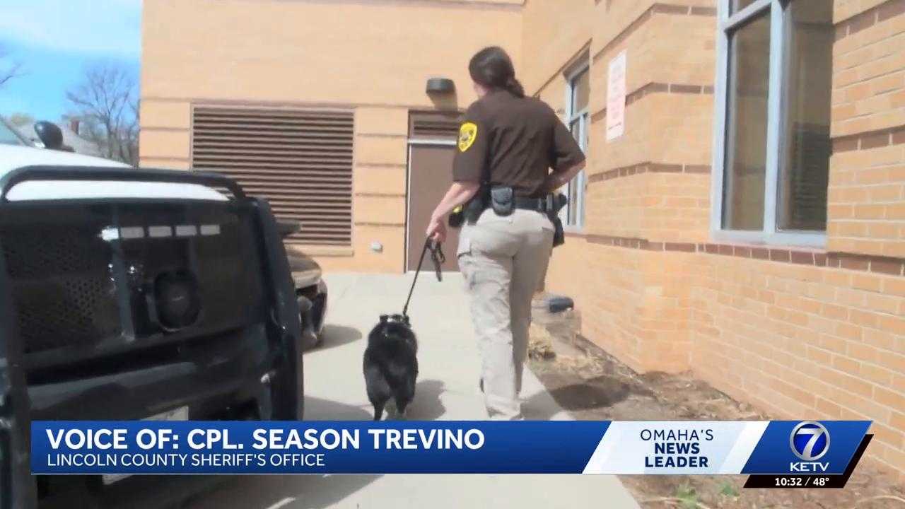 ketv.com - McKenzy Parsons - Crisis K-9 Jax deployed to support Nebraska firefighters battling wildfires