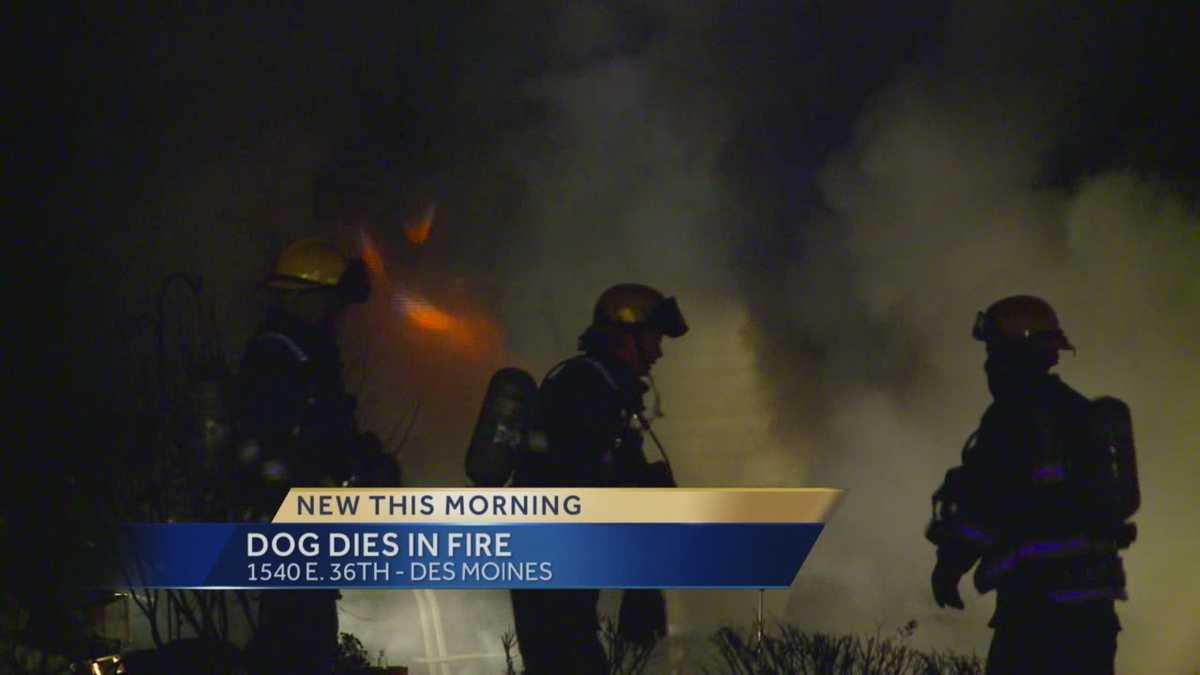 Family dog dies in house fire