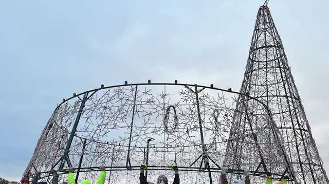 Salvation Army's annual Tree of Lights acts as 'beacon of hope' during holiday season