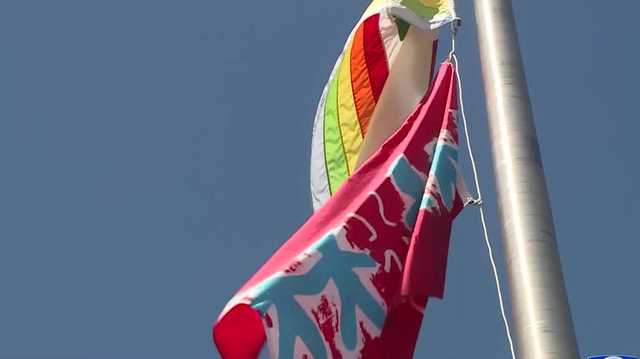 Flag raising held in California city for victims of child abuse - Vimarsana News