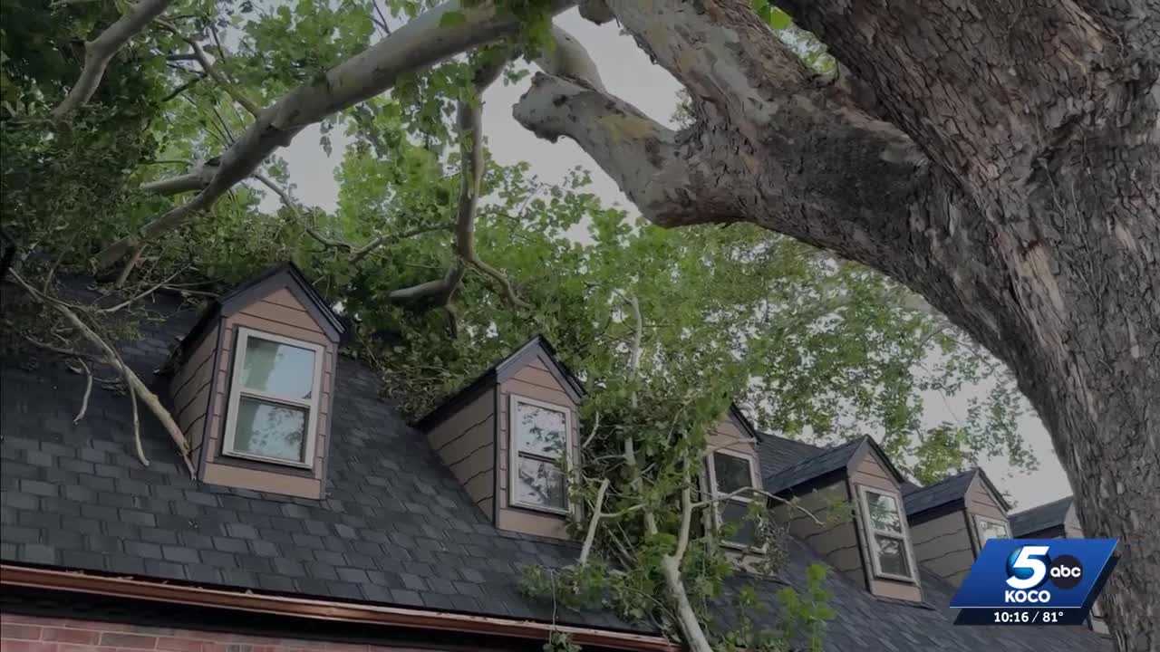 Norman family hears winds roar as storm uproots decades-old trees and tears roof hole