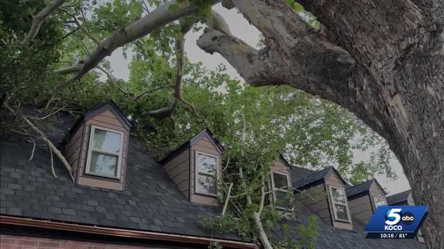 Norman family hears winds roar as storm uproots decades-old trees and tears roof hole