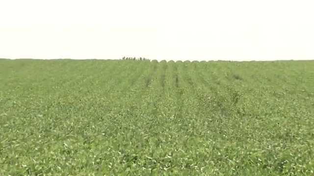 USDA authorizes new practice to help farmers avoid food shortage - Vimarsana News