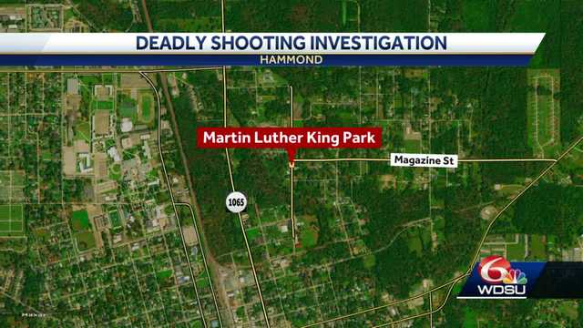 Louisiana Easter Hammond homicide arrest - Vimarsana News