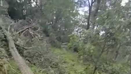 WXII 12 Meteorologist Dave Aiken shares video of damage in Hendersonville