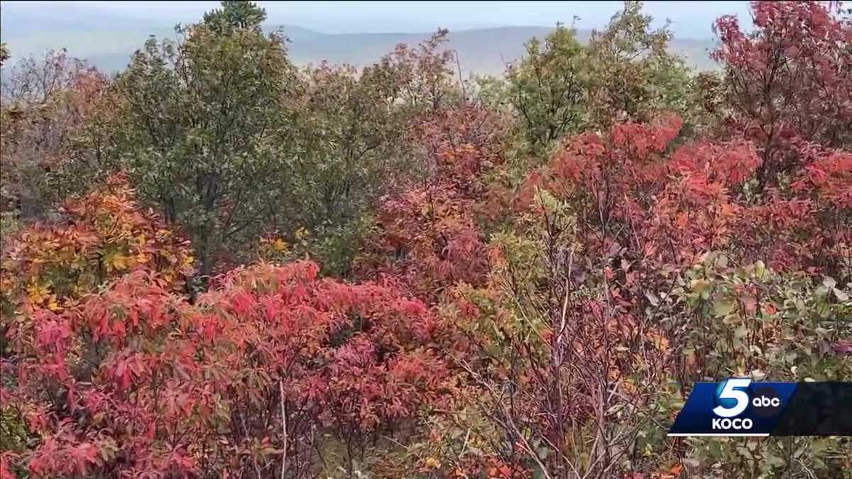 Some areas in Oklahoma still have colorful fall foliage