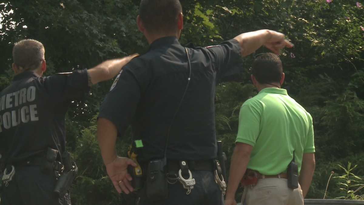 Man wanted in connection with 4 burglaries arrested after police pursuit