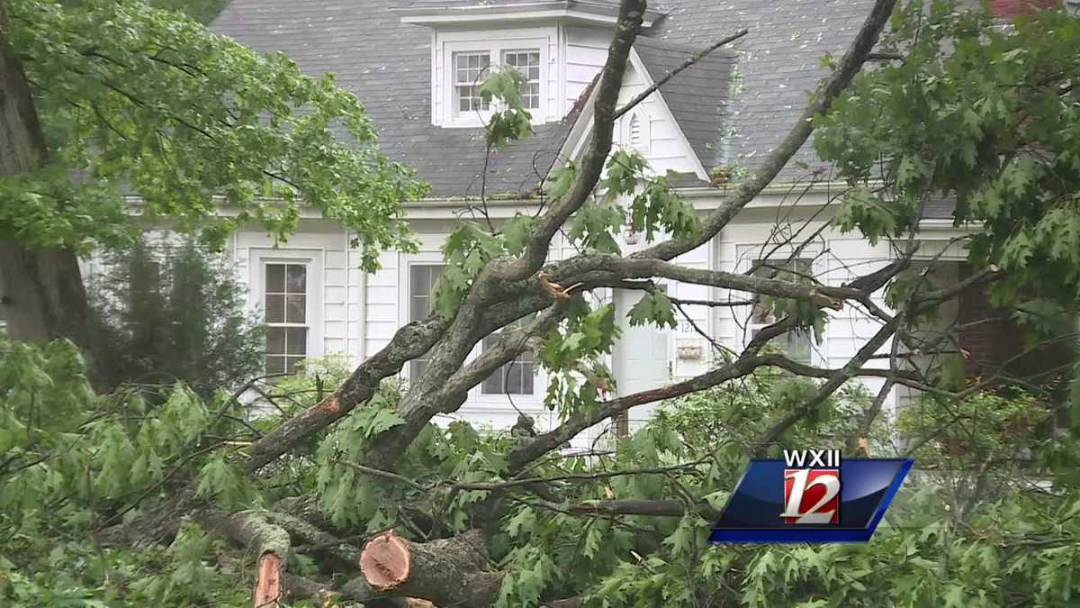 insurance-coverage-from-tree-damage