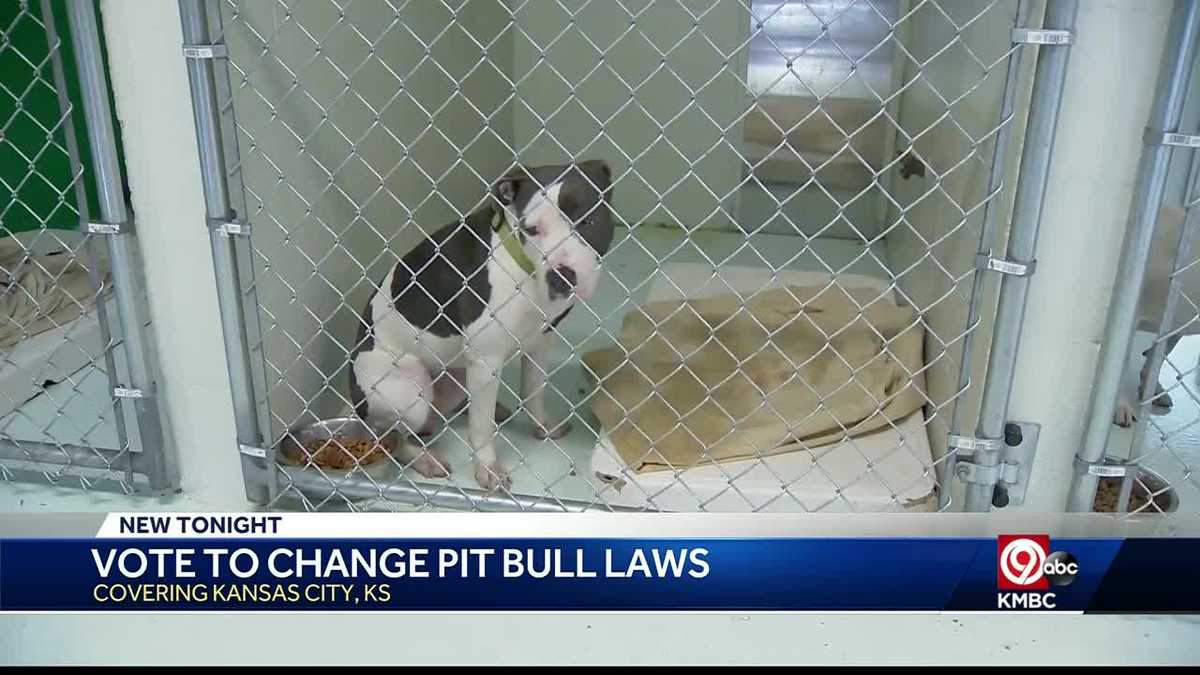 Unified Government moves to change law regarding pit bulls