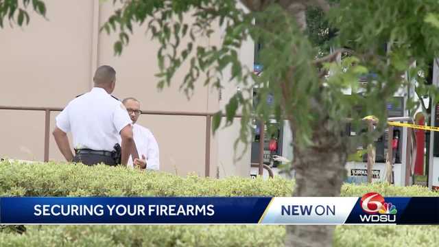 Firearm safety instructor: Lock up your guns - Vimarsana News