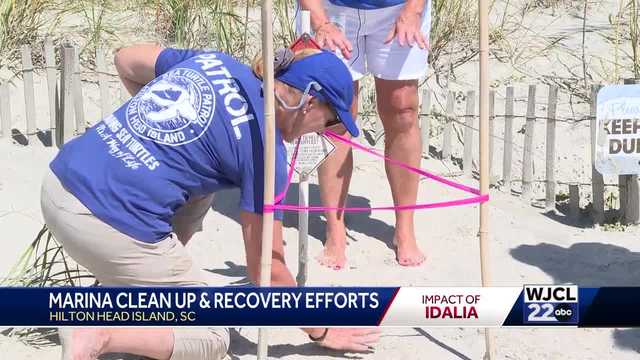 'The storm spared us': Hilton Head breathing a sigh of relief after Idalia leaves minimal damage - Vimarsana News
